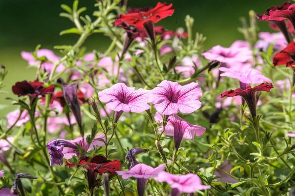Le puits canadien améliore l'efficacité énergétique de votre maison