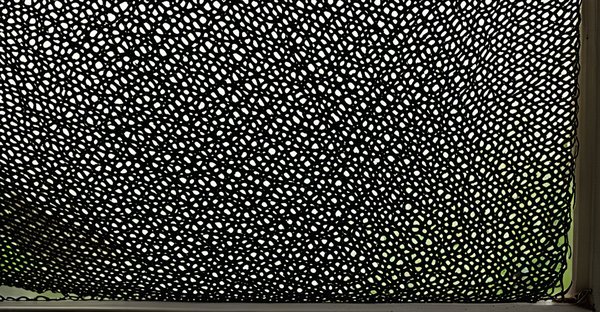 Moustiquaire fenêtre : guide pratique pour choisir la meilleure solution